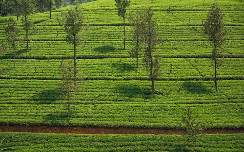 1664507719448124.png image.png