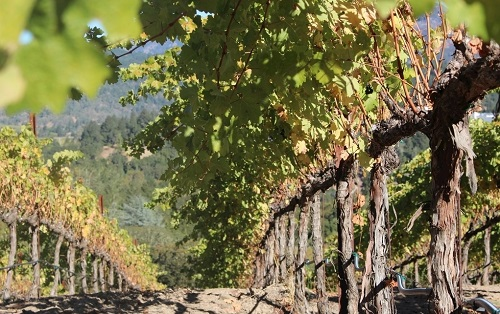 1666751639569615.png image.png