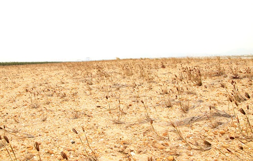 土壤養(yǎng)分測(cè)試儀的檢測(cè)效率如何？可以多個(gè)樣品同時(shí)檢測(cè)嗎