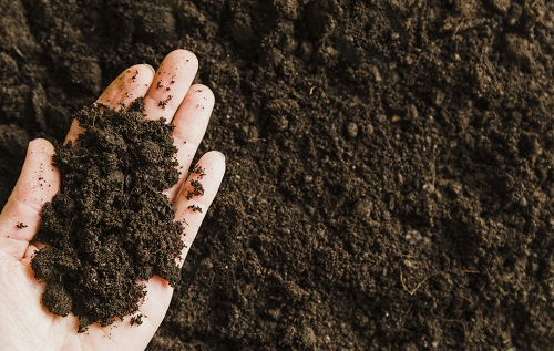 1667546326209936.png image.png