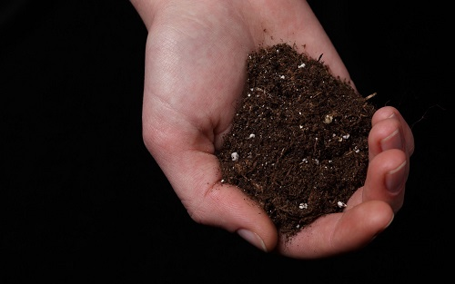 1671175532101923.png image.png