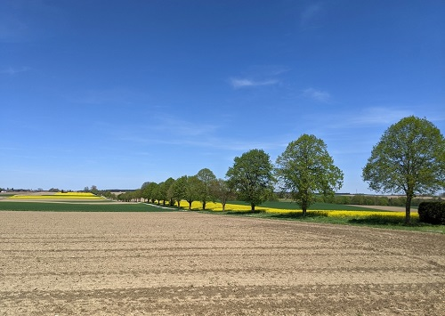 1671688234105689.png image.png