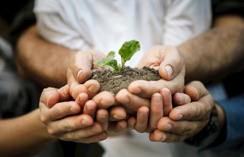 1675222972207009.png image.png