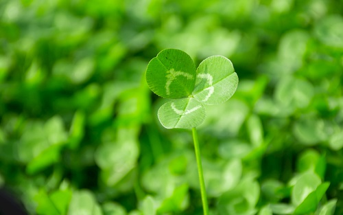 1677811127106551.png image.png