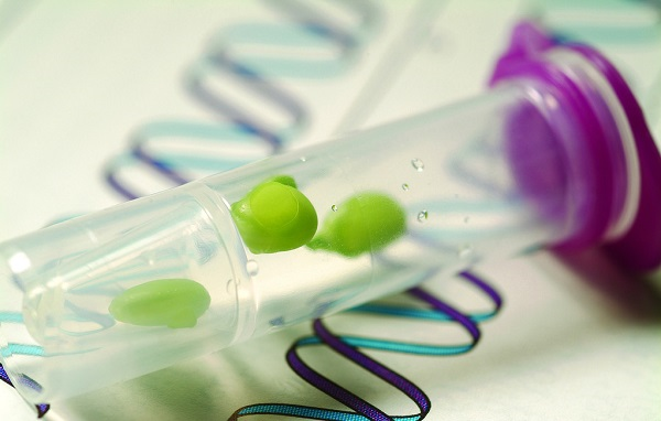 種子發(fā)芽所需要的條件，種子發(fā)芽箱都可以提供嗎？