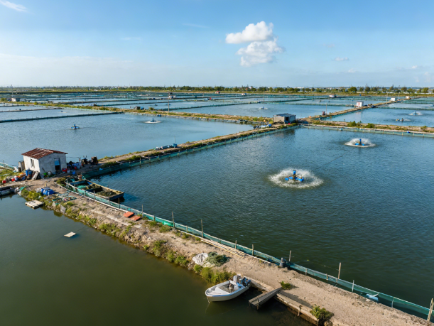 水產(chǎn)品抗生素檢測(cè)儀